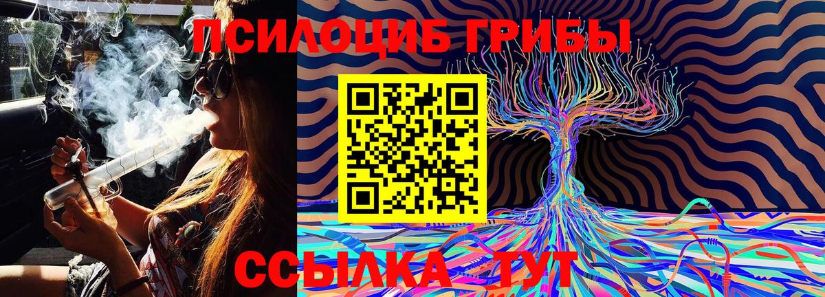 Галлюциногенные грибы MAGIC MUSHROOMS  Вход с VPN  где можно купить наркотик  Джанкой 